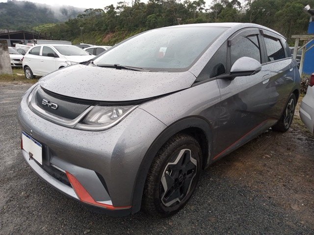 DOLPHIN GS 180EV ANO 2023/2024