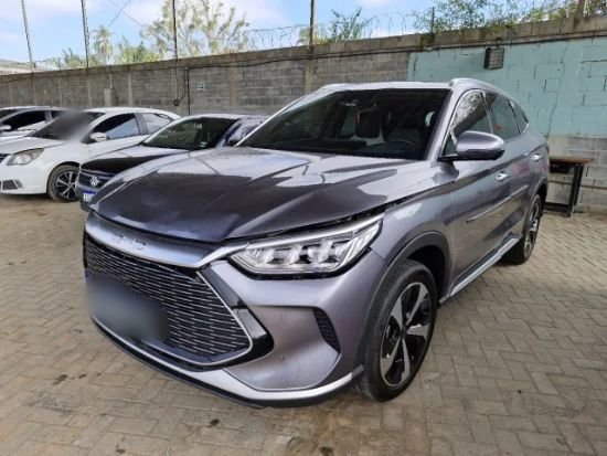 Song Plus GS 1.5 DM ANO 2024/2025 